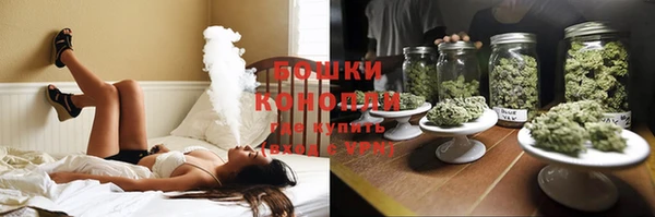 ГАЛЛЮЦИНОГЕННЫЕ ГРИБЫ Баксан