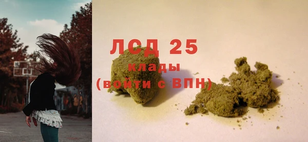 ГАЛЛЮЦИНОГЕННЫЕ ГРИБЫ Баксан